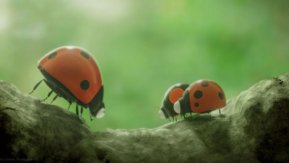 CINE-PHILO avec Ophélie Chekroun