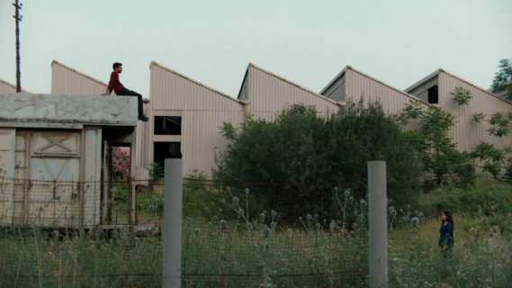 Avant-première : UN MONDE FRAGILE ET MERVEILLEUX