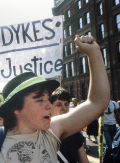 THE DYKE SHOW