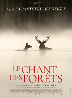 LE CHANT DES FORêTS