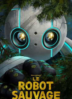LE ROBOT SAUVAGE