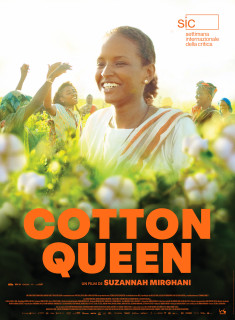 COTTON QUEEN