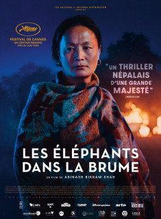 LES ELEPHANTS DANS LA BRUME